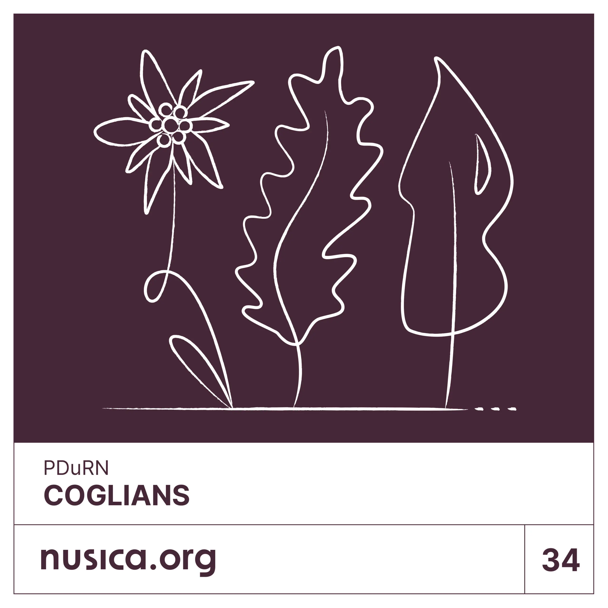 PDuRN - Coglians, nusica.org